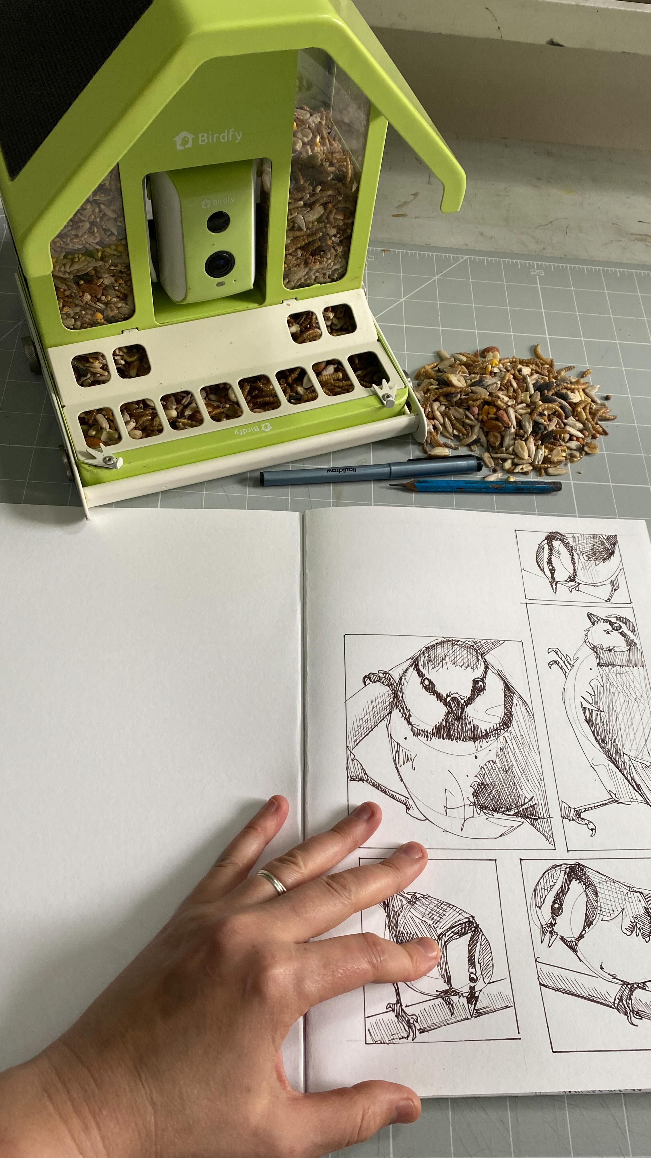 Instagram post by @jenny.mccabe for Birdfy. Caption reads: “AD - gifted by” @birdfy_by_netvue A few months....