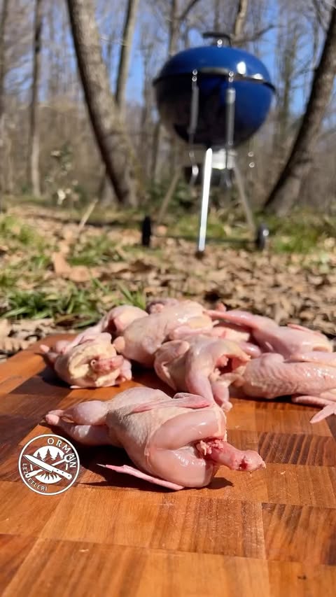 Instagram post by @orman_lezzetleri for Weber BBQ Türkiye. Caption reads: @weberbbqturkey iş birliğiyle hazırladığımız iftar....