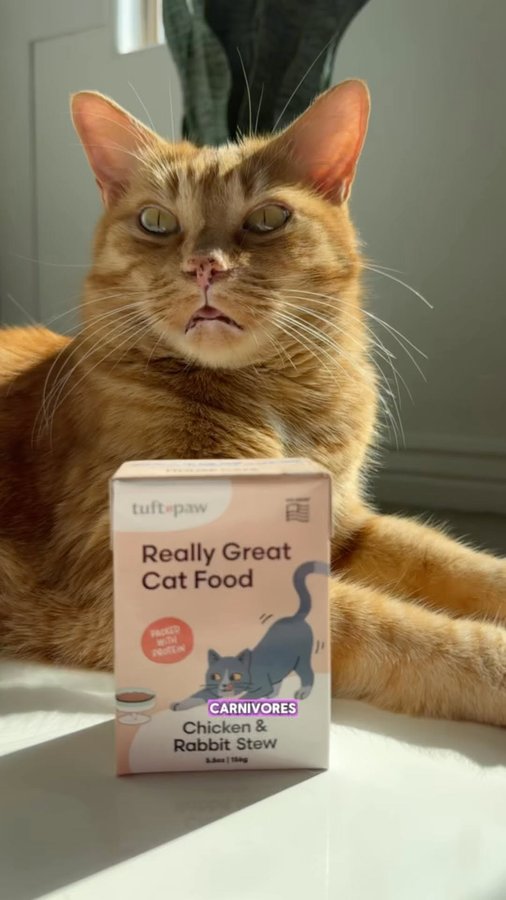 Instagram post by @missfeministkitty for Tuftandpaw. Caption reads: [...] #ad #catfood #catfoodrecommendation....