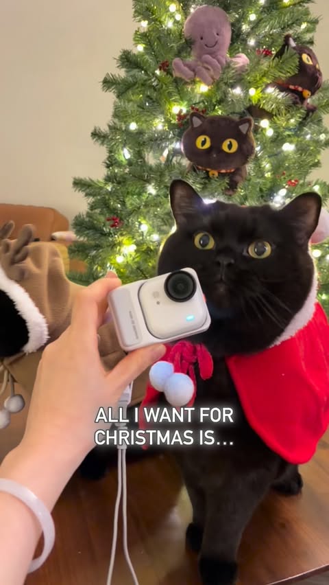 Instagram post by @sweetbabyboysalem for Insta360. Caption reads: All I want for Christmas is… 🍗🥩🍖
This is how....