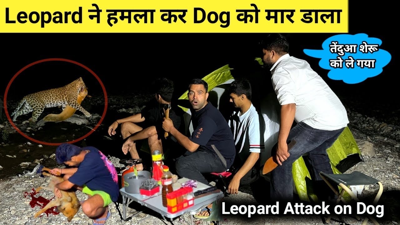 YouTube post by @indocamping for BeaverCraft Tools. Caption reads: Leopard Attack On Dog 🐆Leopard attacked Sheru....