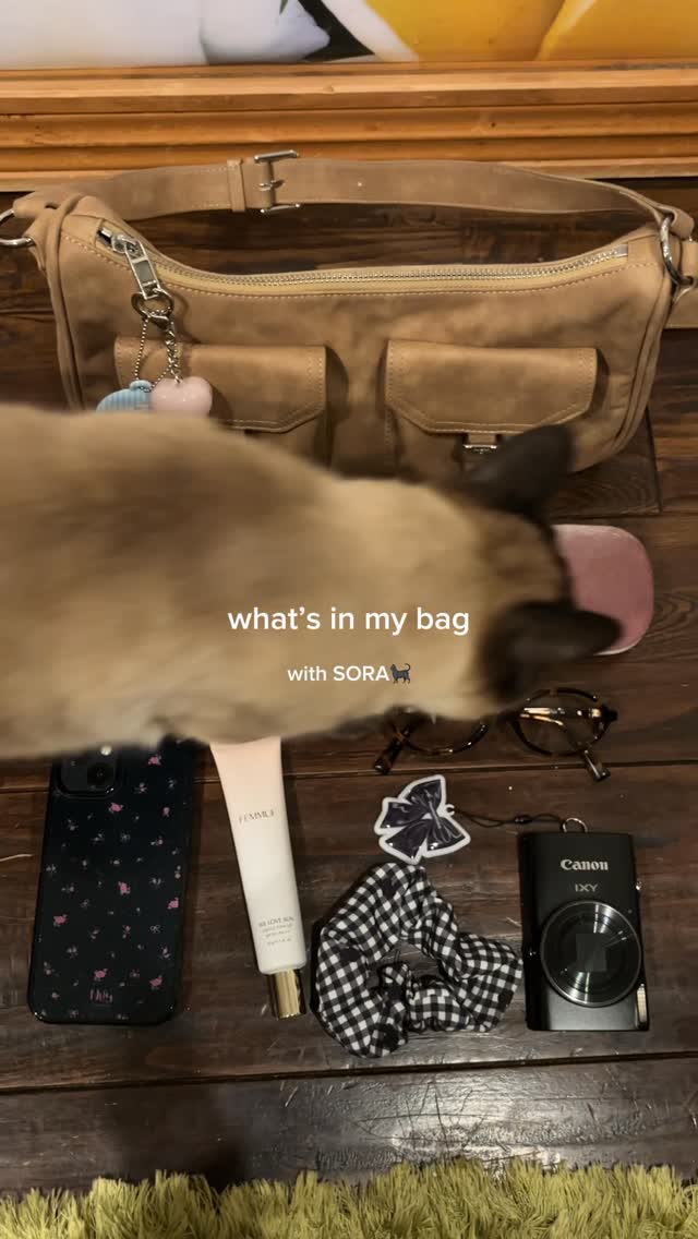 Instagram post by @ai__susan for Ofra Cosmetics. Caption reads: #バッグの中身 が気になるそらくん🐈‍⬛　

bag @standoil.jp 
glasses....