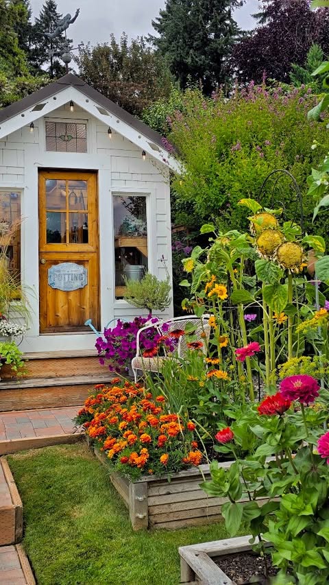 Instagram post by @shiplapandshells for Epic Gardening. Caption reads: [...] flower collection from @epicgardening .🌻#ad....
