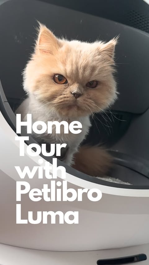 Instagram post by @girlsandtheircats for Petlibro. Caption reads: [...] Your cat deserves a smarter bathroom.....