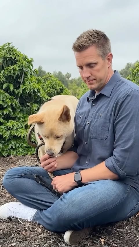 Instagram post by @rockykanaka for Embark. Caption reads: [...] backstory, so we DNA tested him with....