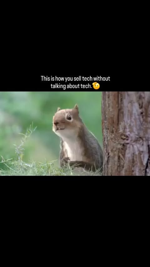 Instagram post by @bestadspage for Audi. Caption reads: [...] it’s a masterclass in advertising. @audi....