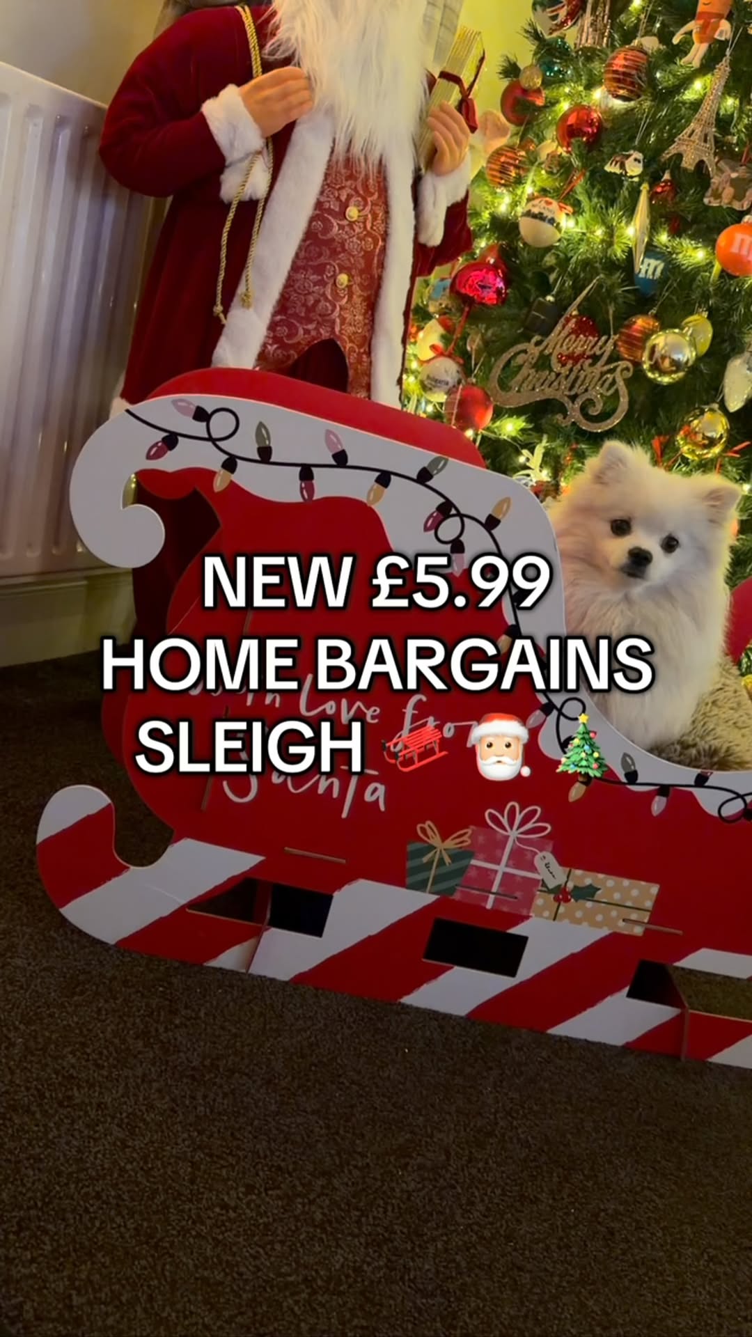 Instagram post by @uknewestfoods for Home Bargains. Caption reads: 🛷🎅🏼🎄 The £5.99 Christmas Sleigh from Home....
