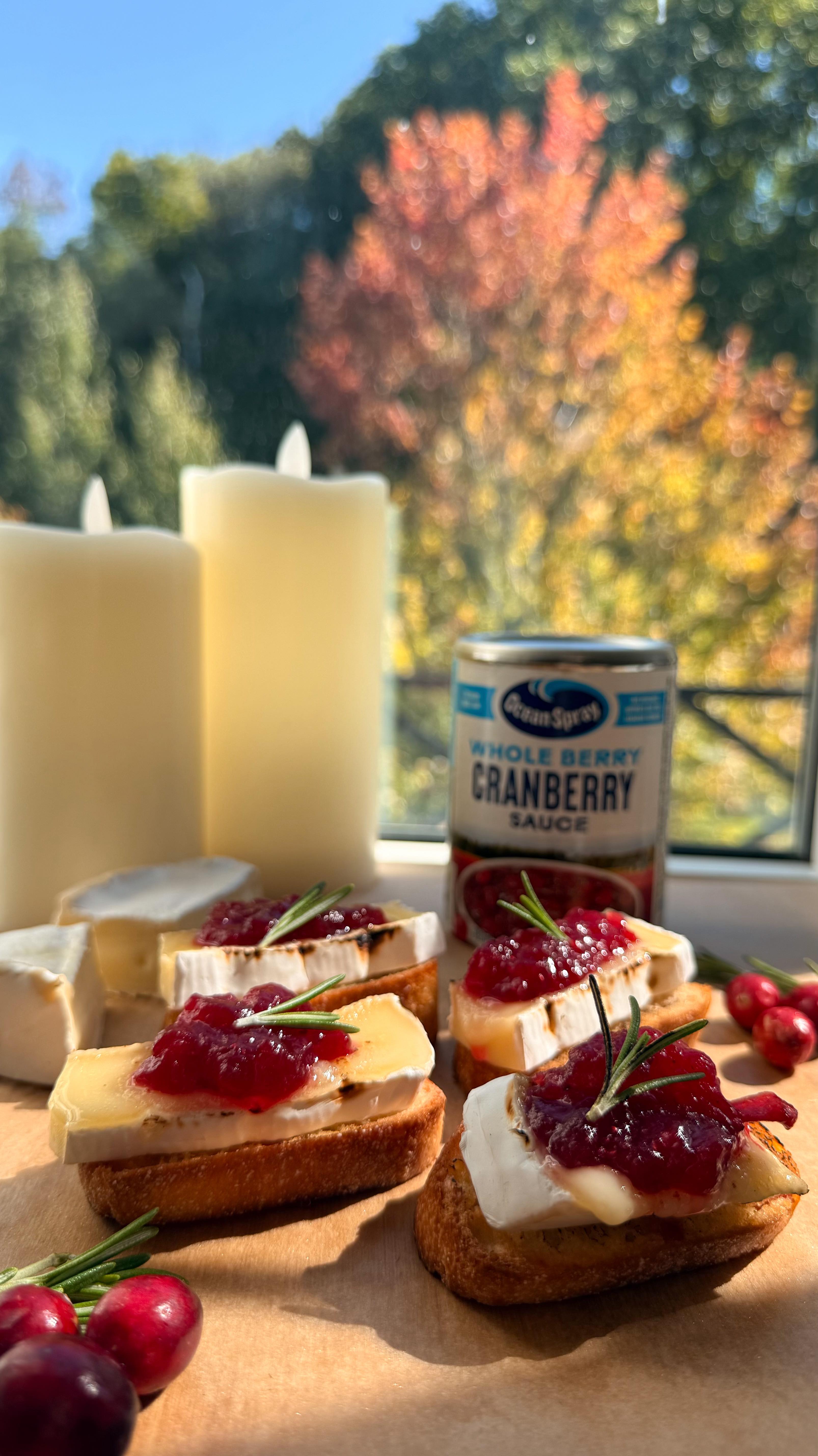 Instagram post by @champagneang for Ocean Spray. Caption reads: Cranberry Brie Crostinis = my ultimate....