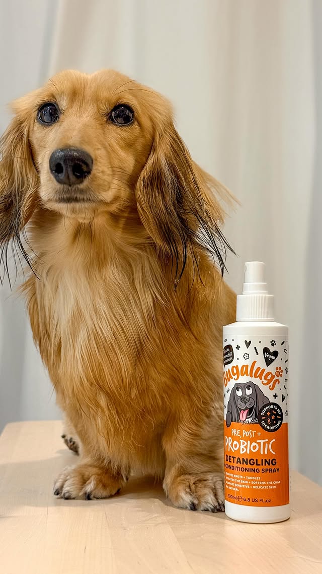 Instagram post by @shan_and_wilson for Bugalugs Pet Care. Caption reads: [...] + Probiotic Grooming range from....