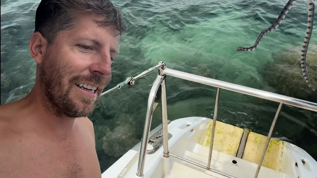 YouTube post by @samholmessailing for Cash App Studios. Caption reads: Venomous snake onboard! We hit a reef exploring....
