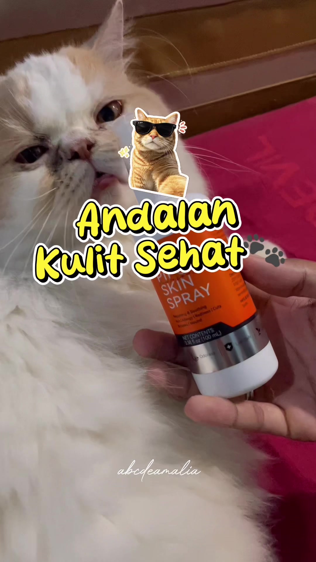TikTok post by @abcdeamalia for Puainta. Caption reads: Terimakasih @Puainta sudah menjadi salah satu....