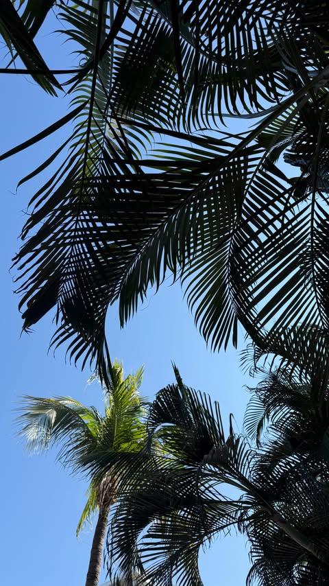 Instagram post by @rashna_kutwaroo for Fenty Beauty. Caption reads: stunning!!! I wasn’t expecting that✨....