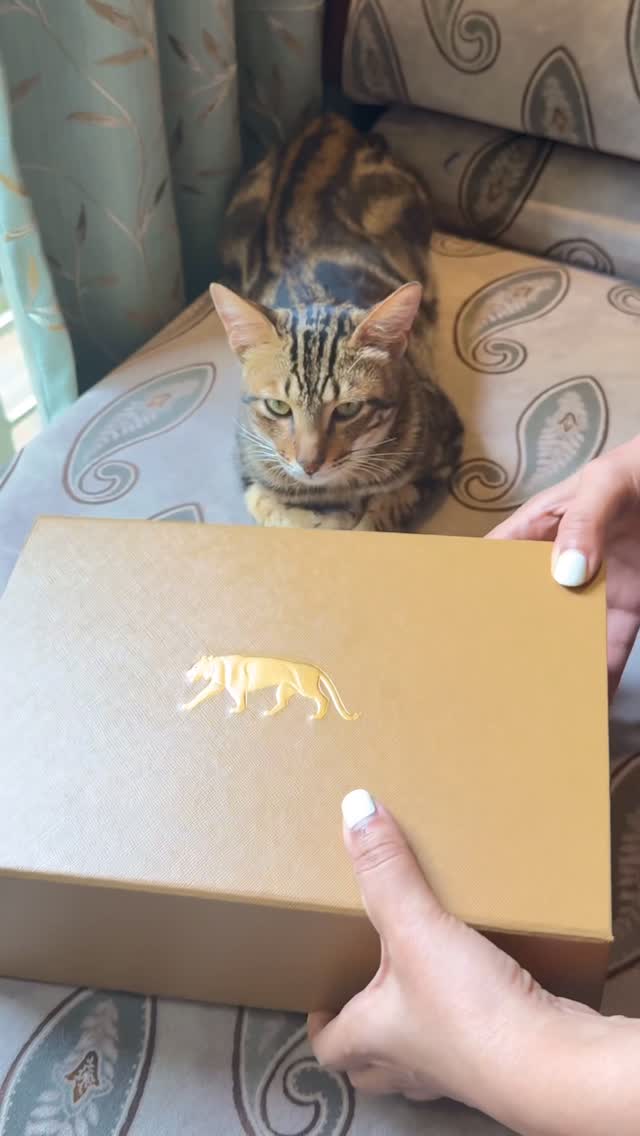 Instagram post by @sunnyysideup for Sabyasachi. Caption reads: When luxury meets storytelling — my Sabyasachi....