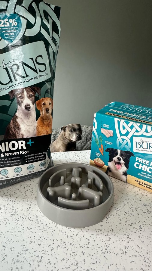 Instagram post by @bluestaffyboulder for Burns Pet Food. Caption reads: It’s dinner time and Boulder cannot get enough of....