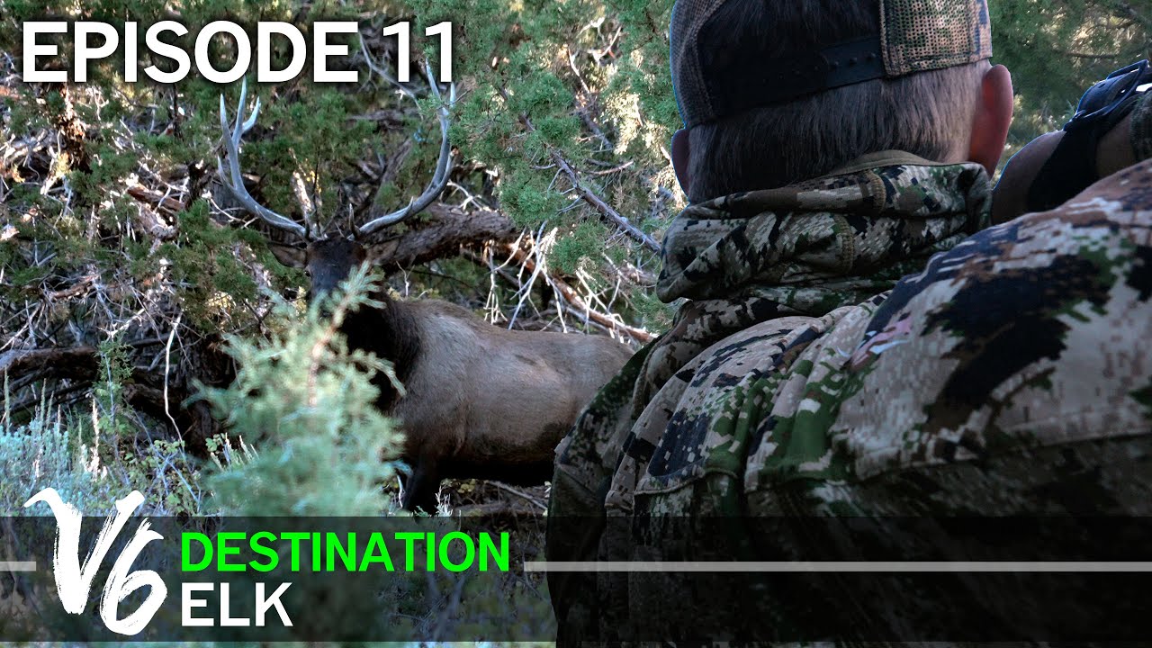 YouTube post by @Elk101 for MTN OPS. Caption reads: My Ears Are Ringing With Elk Bugles - Episode 11....