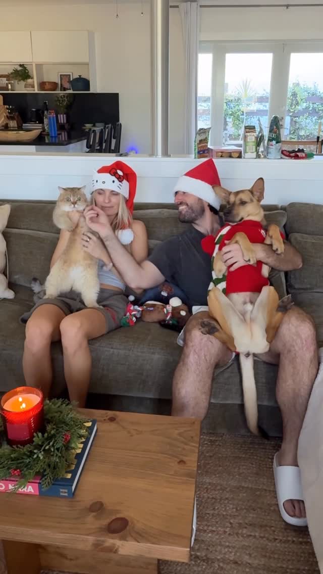 Instagram post by @cactustherescue for Chewy. Caption reads: Cactus “helped,” Miso supervised, and @chewy made....