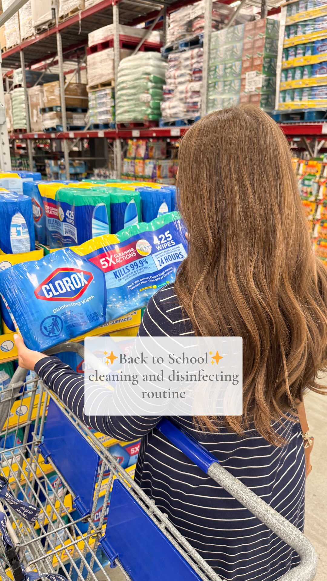 Instagram post by @susielake for Sam’s Club. Caption reads: #samspartner #ad @clorox disinfecting wipes were....