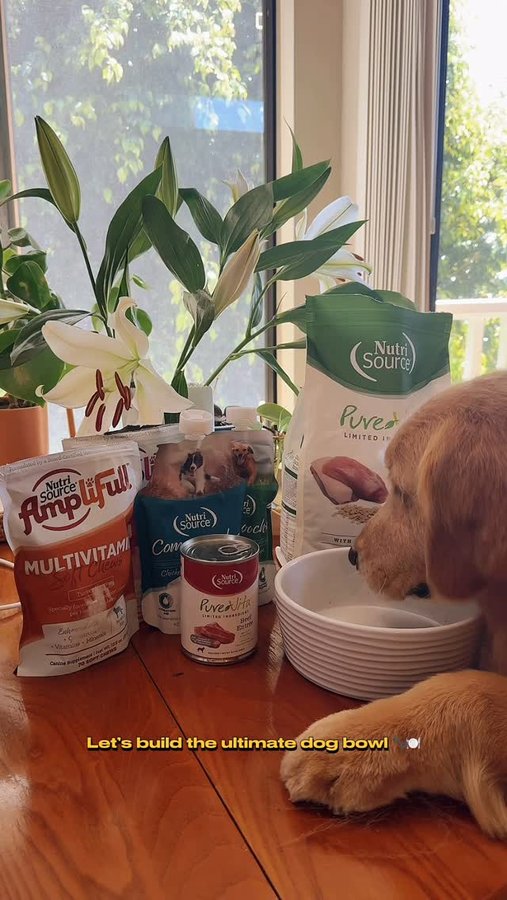 Instagram post by @san_diego_bruce for NutriSource Pet Foods. Caption reads: Have you ever tried full circle feeding?! It’s the....