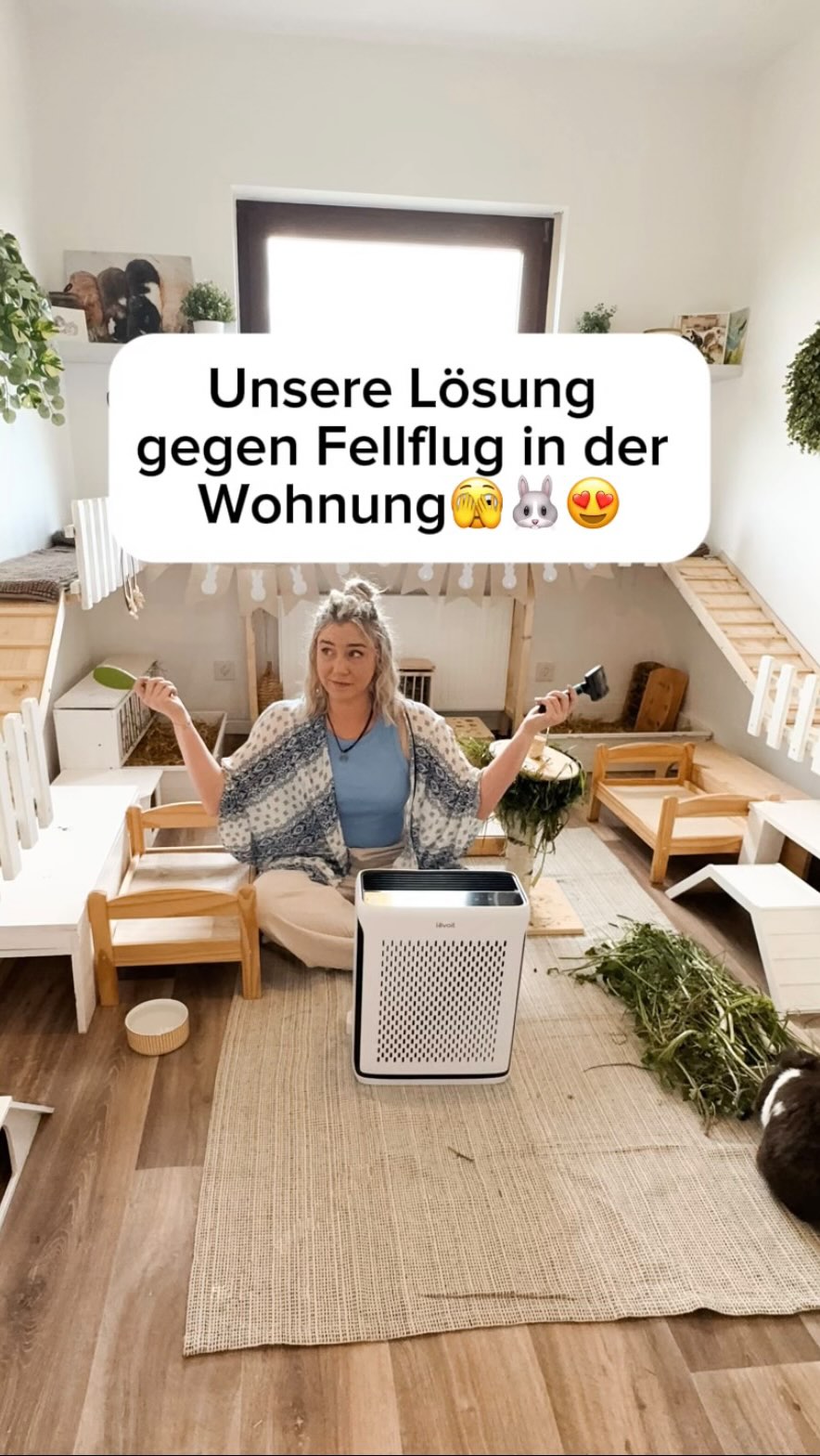 Instagram post by @dieschlappohren for Levoit. Caption reads: [...] erster Luftreiniger, der @levoit.deutschland....