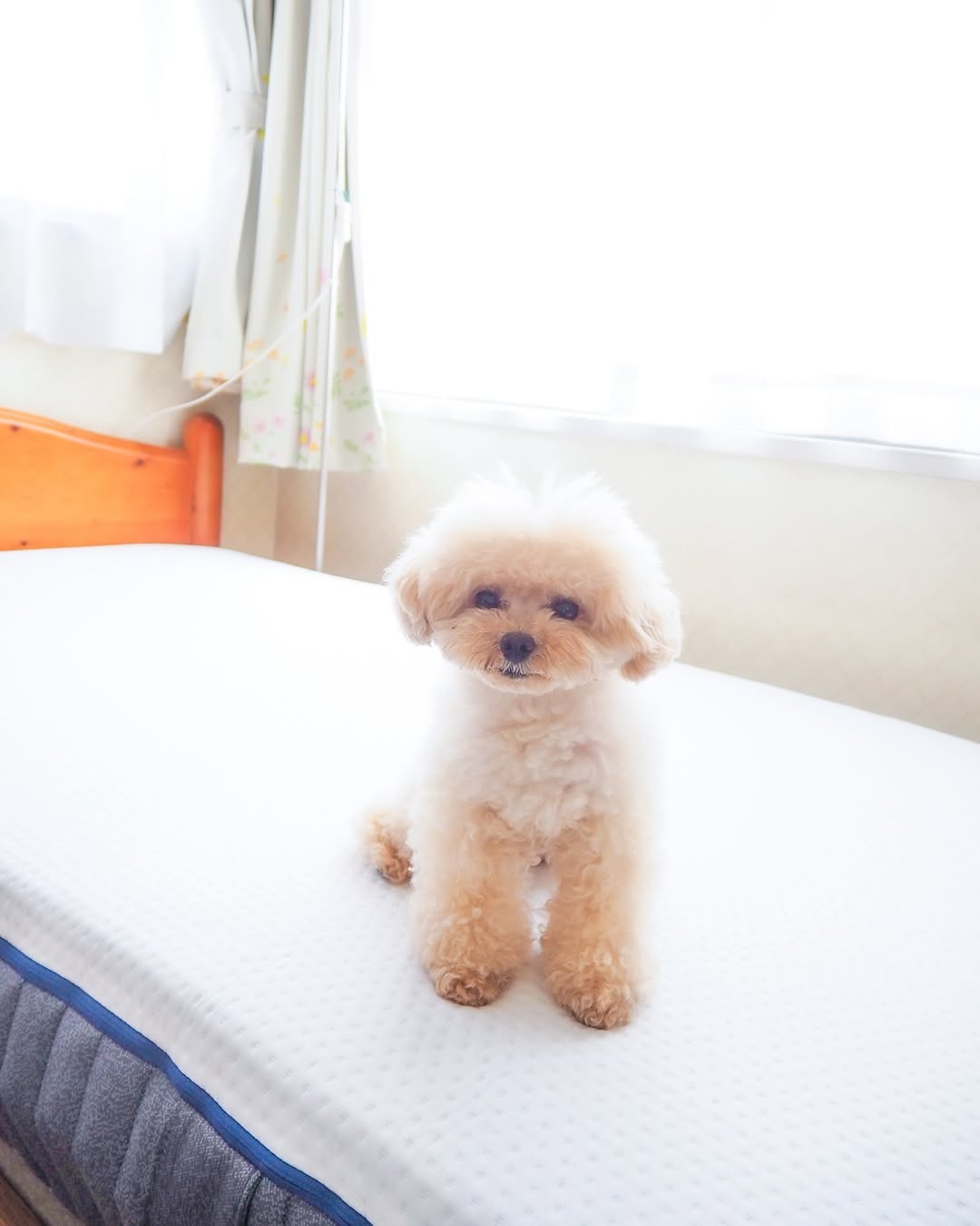 Instagram post by @kurumitaan for Emmasleepjapan. Caption reads: 実家のマットレス新しくしてみた🛏️​
学生の時から使ってたマットレスだけど​
実家に帰るとなんか眠....