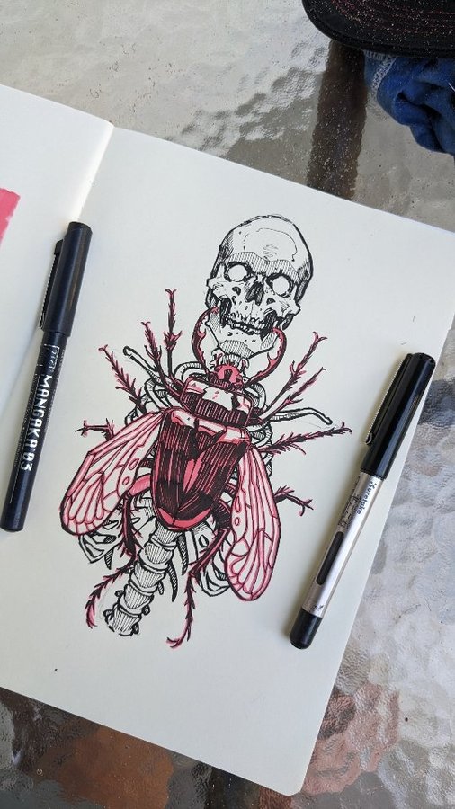 Instagram post by @mattheathart for Kuretake ZIG. Caption reads: Beetle skeleton sketching. I'm not sure if the....