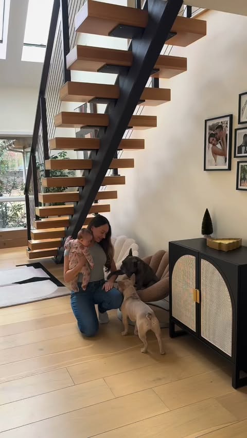 Instagram post by @winstonthefrenchiee_ for Chewy. Caption reads: [...] show up at the door with the help from....