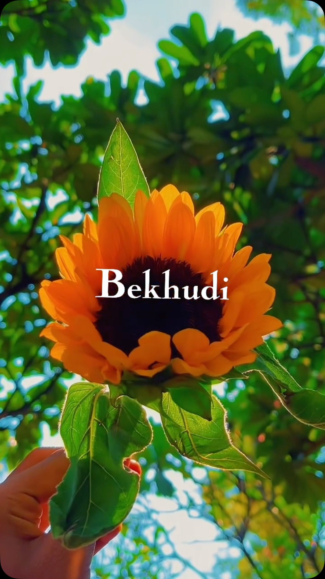 Instagram post by @thephizomuzik for YouTube Music. Caption reads: [...] MUSIC • AMAZON MUSIC • YOUTUBE MUSIC • GAANA....