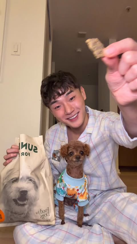 Instagram post by @theprincepoodle for Sundays for Dogs. Caption reads: spoiling prince with dinner from @sundaysfordogs....