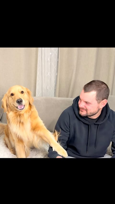 Instagram post by @peachycomet22 for Open Farm Pet. Caption reads: Part One: Comet answers some commonly asked....