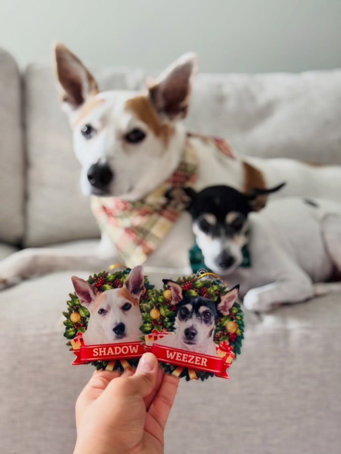 Instagram post by @shadow_and_weezer for Pawfect House. Caption reads: [...] cute are these custom ornaments?! 🐾....