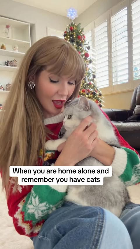 Instagram post by @itsjustashley13 for Chobani. Caption reads: Priorities sorry @chobani 🤭😻

#blondie #cats....