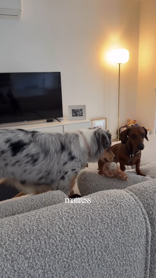 Instagram post by @becstewart__ for Koala. Caption reads: Our living space is the heart of our home and our....