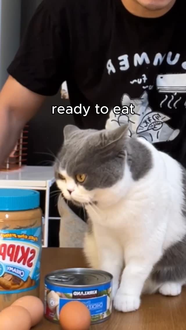 Instagram post by @porkybellyandjim for RAWZ Natural Pet Food. Caption reads: [...] in bio as well!

#RAWZ #RAWZNaturalPetFood.