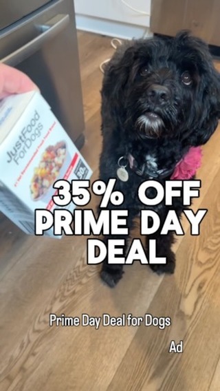 Instagram post by @sukipwd for Amazon Pets. Caption reads: [...] detection service dog. #ad #primeday....