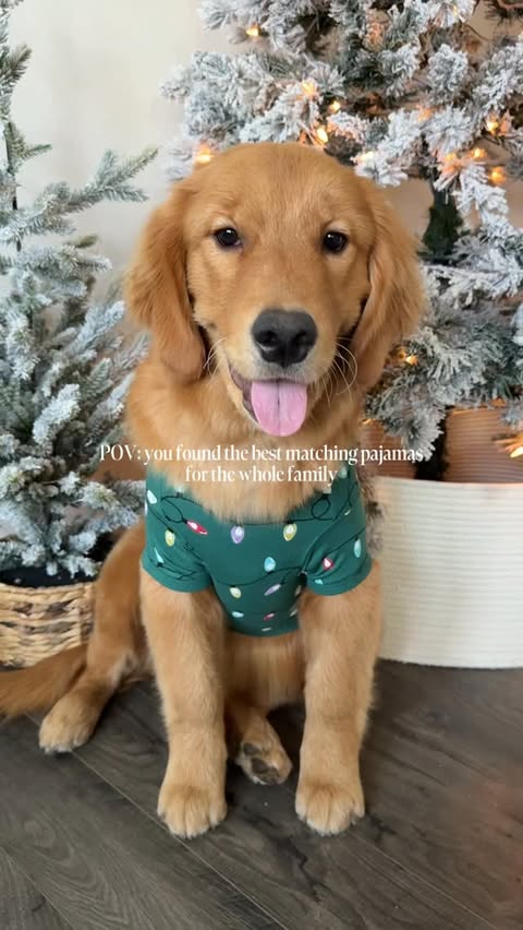 Instagram post by @paigeandbabes for Kyte Baby. Caption reads: [...] better than some comfy cute family @kytebaby....