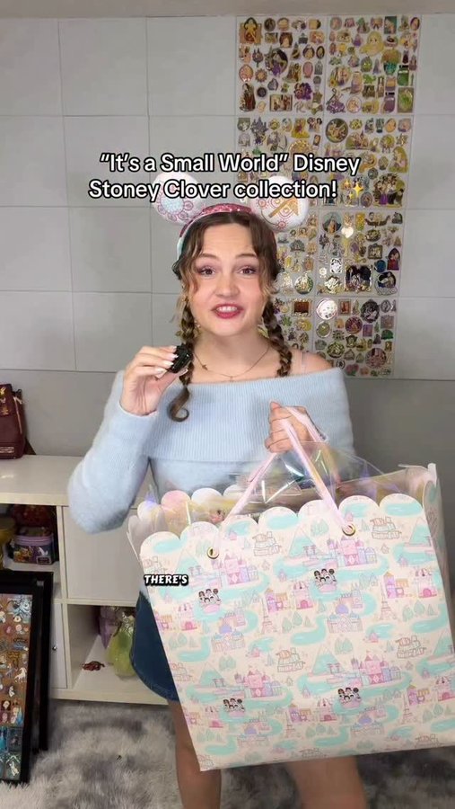 Instagram post by @pincessshannon for Disney Store. Caption reads: MYSTERY BAG from @stoneyclover ?! 🤭✨ #gifted....