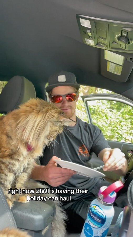 Instagram post by @a.cat.named.fig for ZIWI Pet Food. Caption reads: Right now @ziwipetsusa is having their Holiday Can....