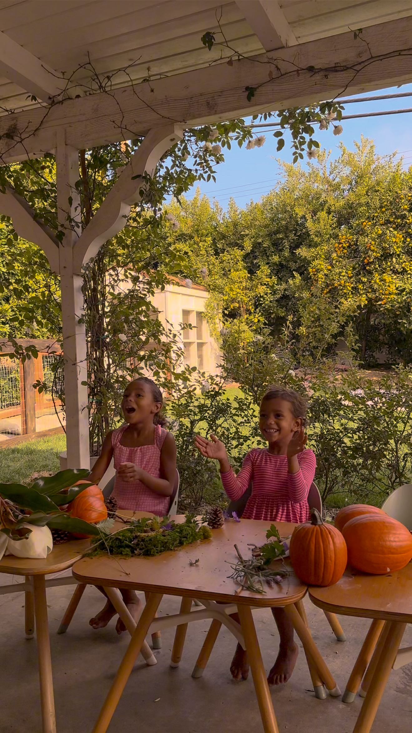 Instagram post by @mama.shocks for Rainbow High. Caption reads: some sticks, leftover pumpkins, flowers & a little....