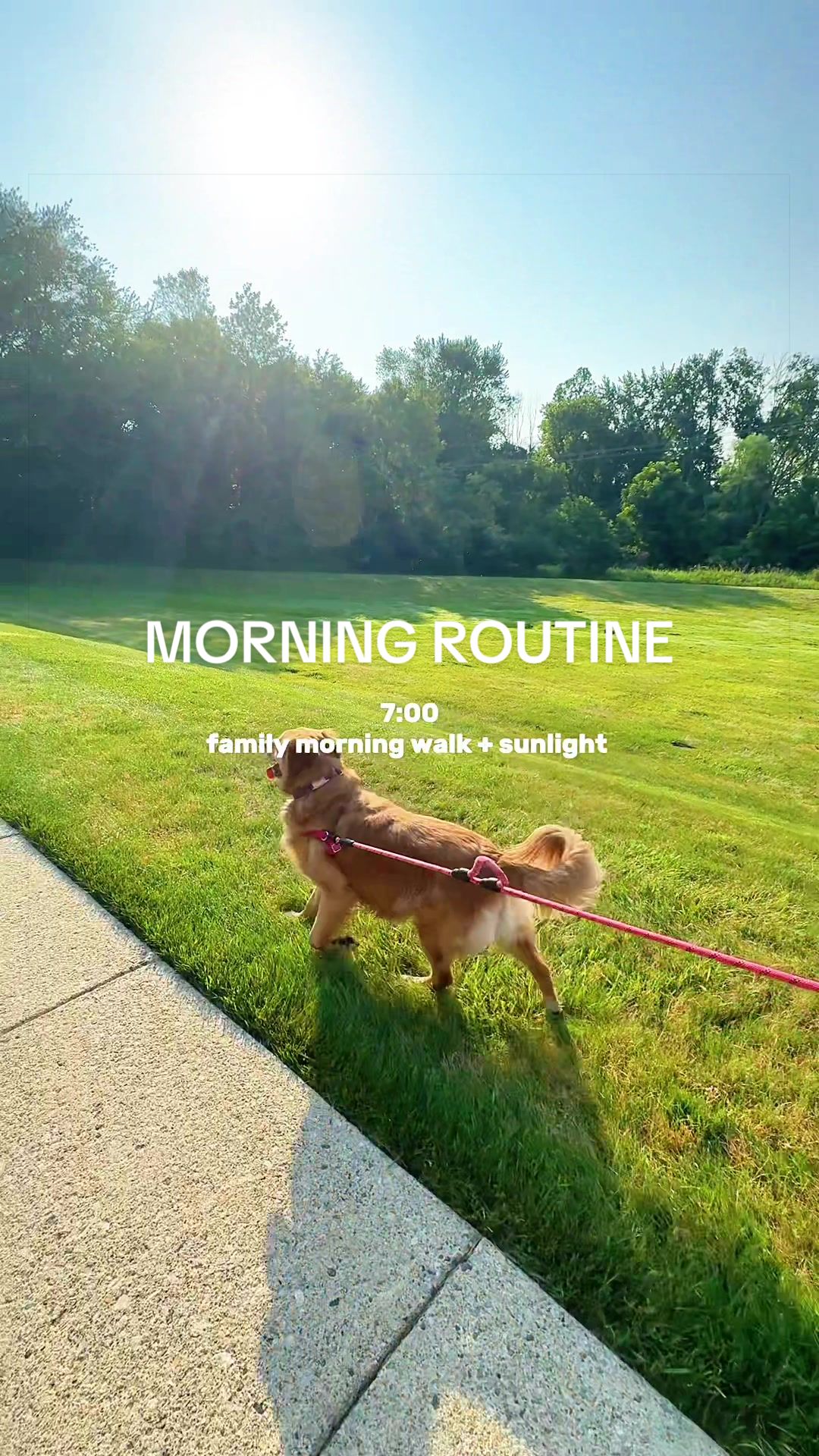 TikTok post by @evahoffman_ for Buoy Health. Caption reads: 🖤 morning routine 33 weeks pregnant. can’t wait....