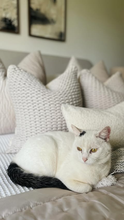 Instagram post by @itsjojosjourney for KatKin. Caption reads: AD: With a newborn and two other little humans,....