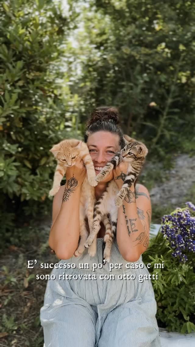 Instagram post by @a.wild.farm for Purina. Caption reads: All’alba dei miei 35 anni ho registrato una....
