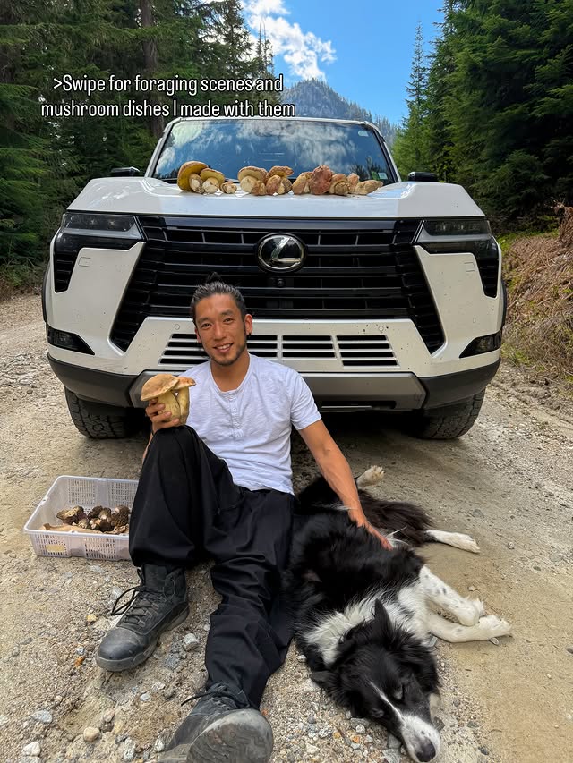 Instagram post by @chefshota for Lexus. Caption reads: Foraging for mushrooms and cooking with them has....