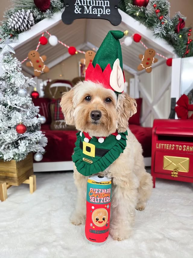 Instagram post by @autumn_thegoldie for – Wlo Store. Caption reads: Had to start the day off with a Christmas seltzer,....