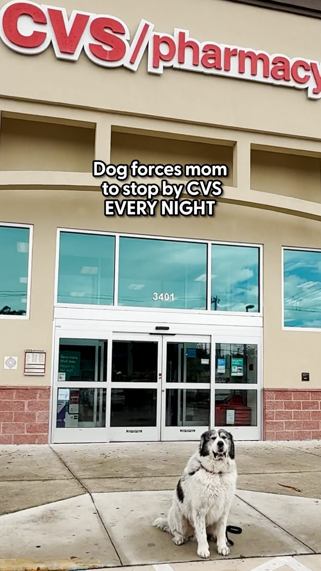 Instagram post by @ritchiethepyr for The Dodo. Caption reads: The reason why will melt your heart....