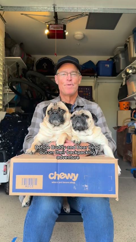 Instagram post by @buddy_n_bear_ for Chewy. Caption reads: Next stop… Everest! Thanks to @chewy we can get....