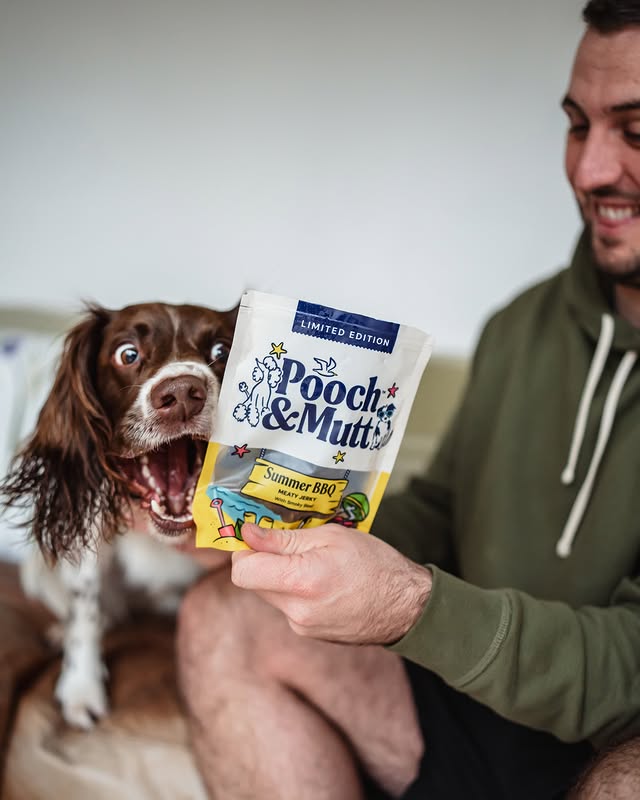 Instagram post by @jinky_springerspaniel for Pooch and Mutt. Caption reads: [...] 😆 This month marks our 5th year as....