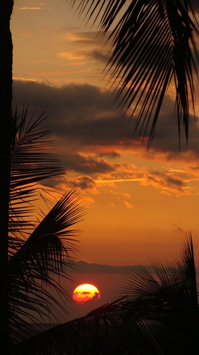 Instagram post by @dreathomas for BOMBSHELL SPORTSWEAR. Caption reads: [...] raise to bicep curl 4x15 Outfit:....