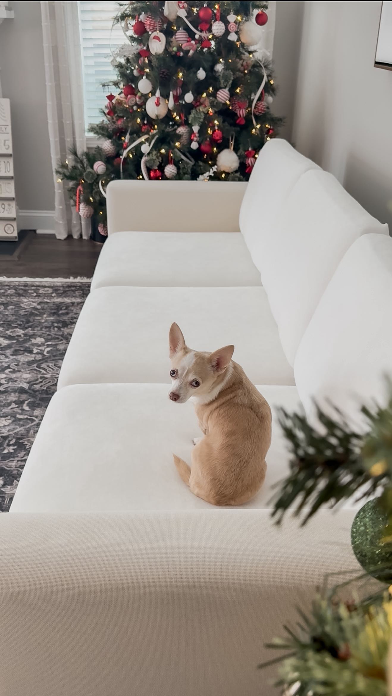 Instagram post by @prouddogmomblog for Nolan Interior. Caption reads: Hosting this holiday season? Between guests, snack....