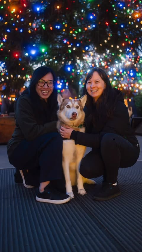 Instagram post by @justin.veenema for Vessi. Caption reads: [...] I noticed the Husky, then I noticed the....