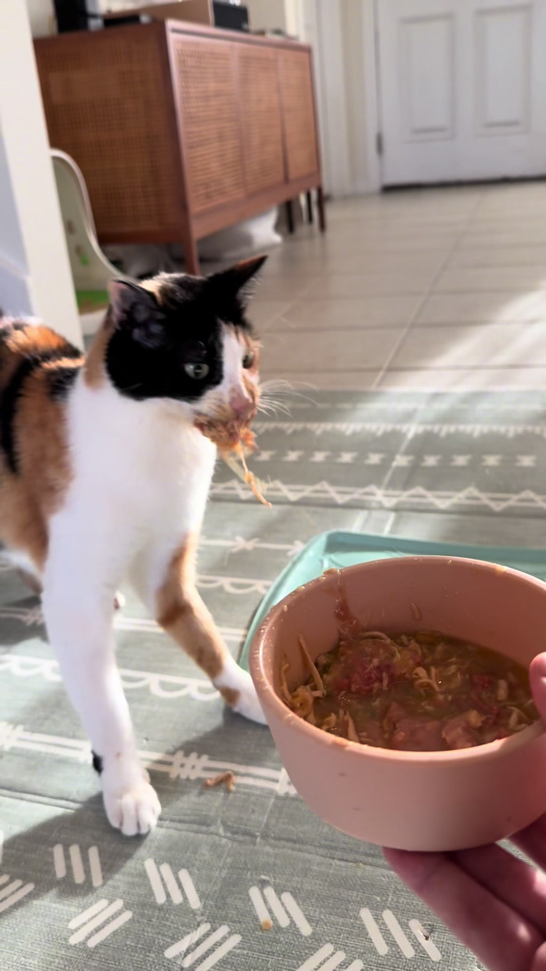 TikTok post by @shakeywobbles for Made by Nacho. Caption reads: [...] September 3–6, snag up to 20% off @Made by....